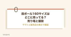 段ボールの160サイズはどこに売ってる？ホームセンターと値段も